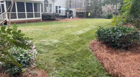 Sod Installation Services